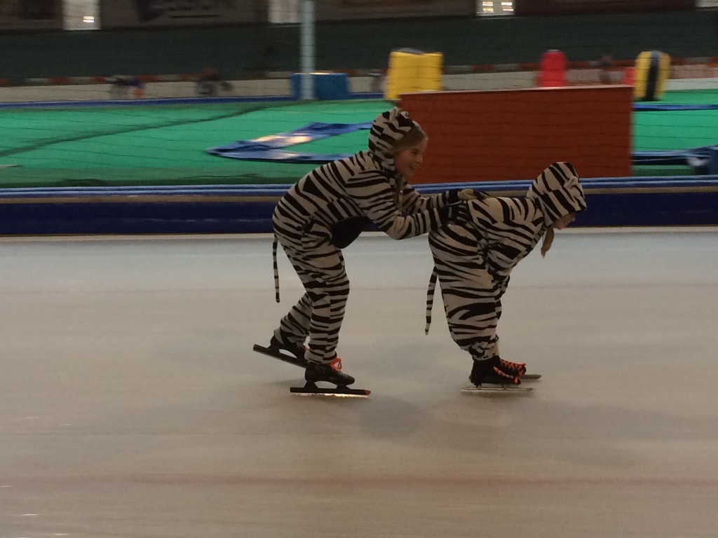 Twee poezen gesignaleerd op het ijs in de Uithof!